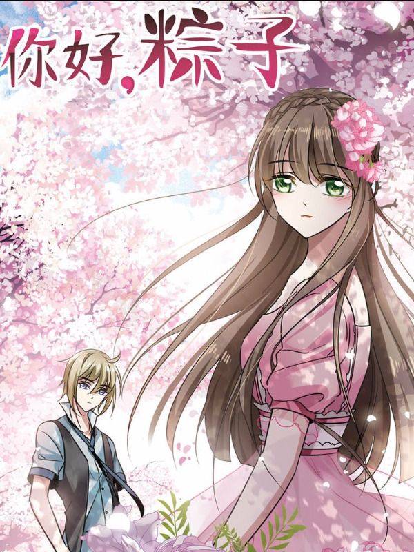 你好,粽子漫画封面